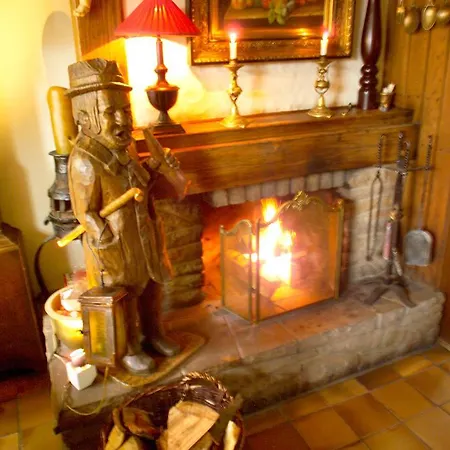 Otel Zum Alten Brunnen 4*